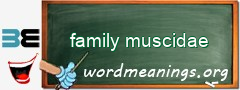 WordMeaning blackboard for family muscidae